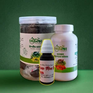 মিশরীয় মোদক (ফুল-কোর্স)